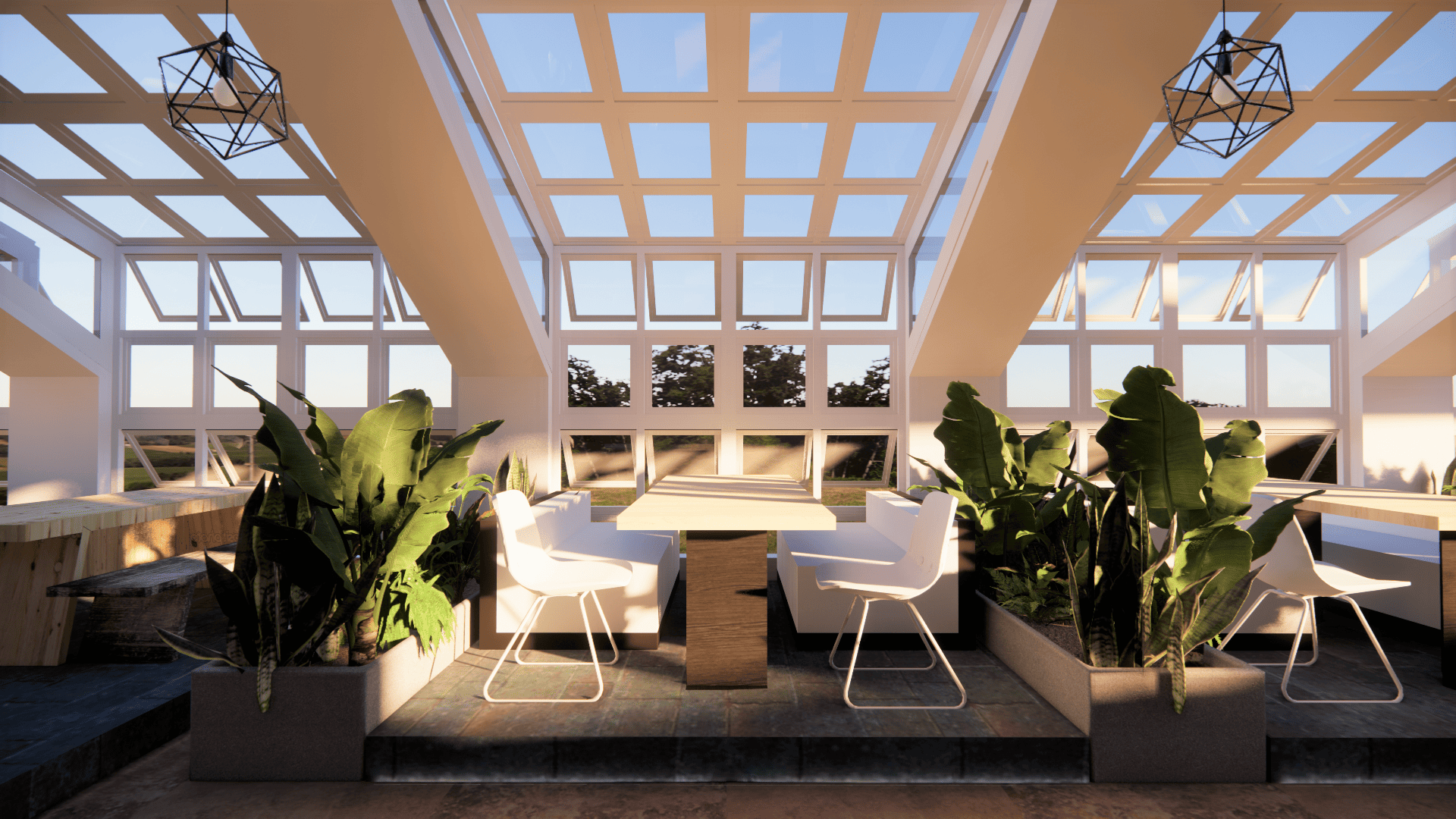 Roof Top — view 4